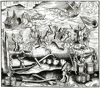 Walfang, nach einem Holzschnitt in Cosmographie Universelle von Munster, veröffentlicht 1552 von German School