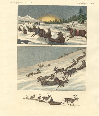 Winterreisen in Lappland von German School