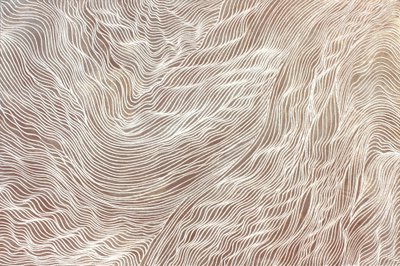 Reise 298, 2010 von Gerrit Greve