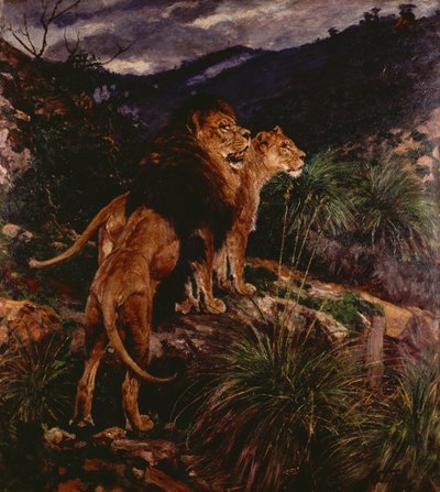 Löwen auf der Pirsch von Geza Vastagh
