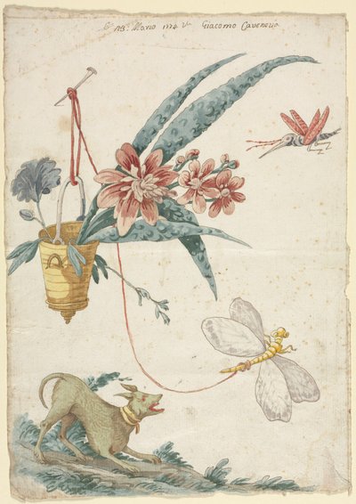 Florales Design mit Hund und Insekten von Giacomo Cavenezia