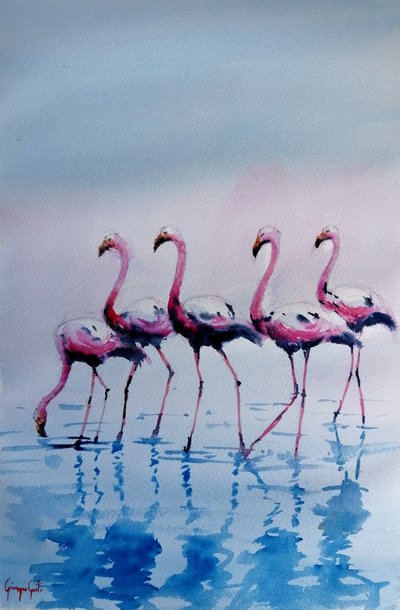 Rosa Flamingos watend von Giorgio Gosti