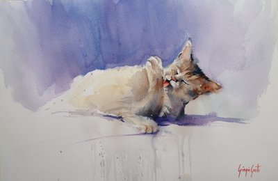 Süße Katze leckt von Giorgio Gosti