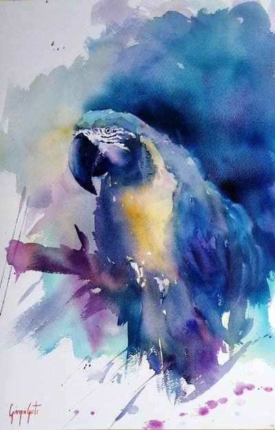 Lebendiger blauer Ara von Giorgio Gosti