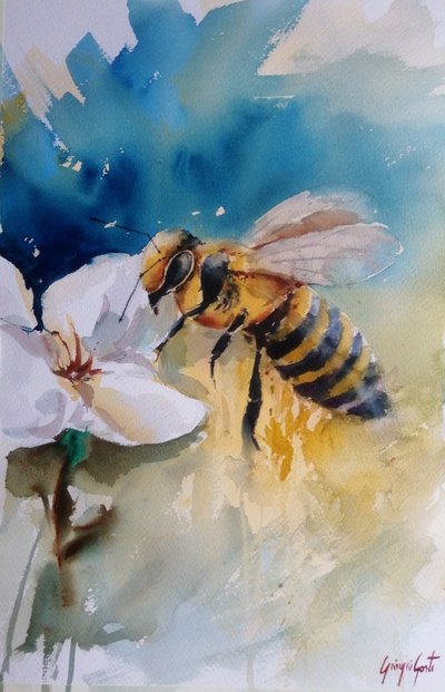 Aquarell Honigbiene auf Blume von Giorgio Gosti