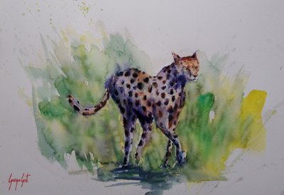 Aquarell-Wildgepard von Giorgio Gosti