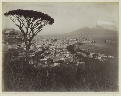Ansicht der Stadt Neapel, der Bucht und des Vesuvs von Giorgio Sommer