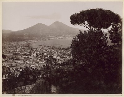 Panorama von Neapel von Giorgio Sommer