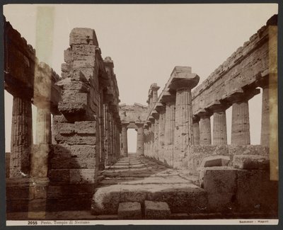 Tempel des Neptun, Paestum von Giorgio Sommer