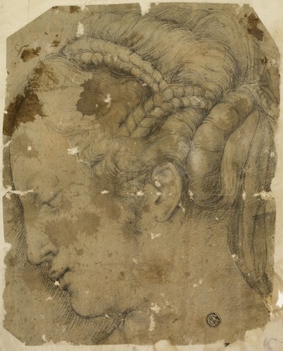 Weiblicher Kopf im Profil nach links von Giorgio Vasari