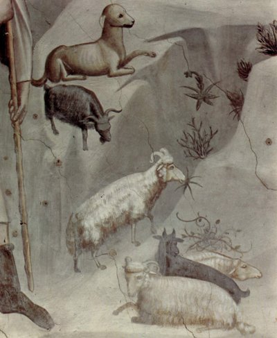 Szenen aus dem Leben des Joachim: 5. Joachims Traum (Detail) von Giotto