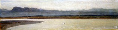 Mündung des Arno von Giovanni Costa