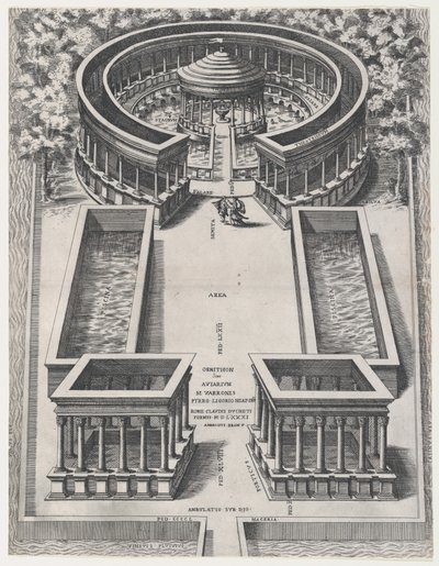 Speculum Romanae Magnificentiae: Ornithon Sive Aviarum, 1581 von Giovanni Ambrogio Brambilla