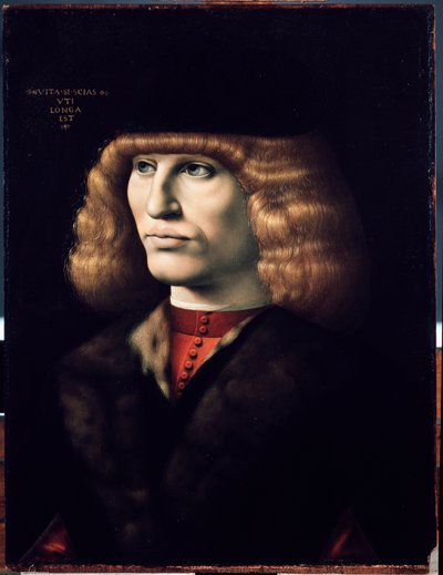 Porträt eines jungen Mannes, ca. 1495 von Giovanni Ambrogio de Predis