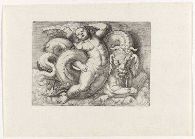 Putto reitet auf einem Seemonster von Giovanni Andrea Maglioli