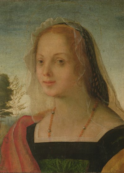 Porträt eines jungen Mädchens von Giovanni Battista Rosso Fiorentino