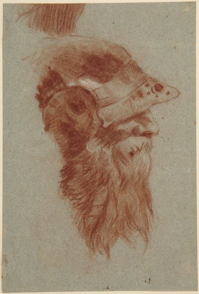 Kopf eines bärtigen Soldaten für den Kaisersaal in Würzburg von Giovanni Battista Tiepolo