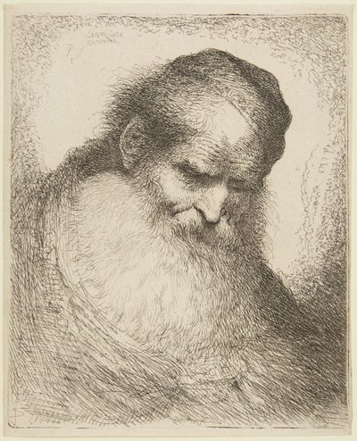 Kopf eines bärtigen alten Mannes von Giovanni Benedetto Castiglione