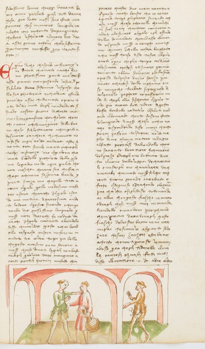Dekameron, Blondel und Cochonneau - Rache von Ciacco, Neunter Tag, Novelle 8 von Giovanni Boccaccio