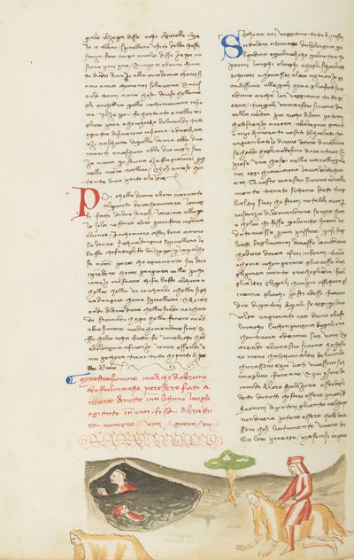 Dekameron, Das schreckliche Abenteuer von Meister Simon - Simone da Villa auf dem falschen Tier, Achter Tag, Novelle 9 von Giovanni Boccaccio