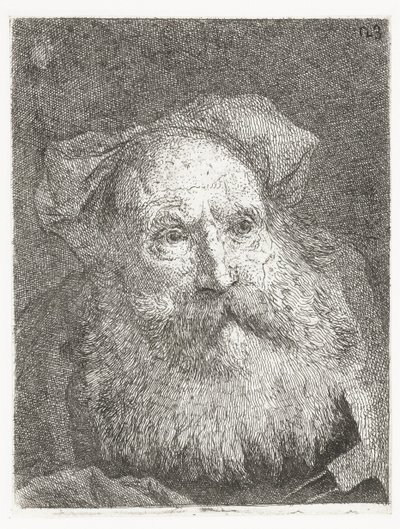 Alter Mann mit Bart (Sammlung von Köpfen) von Giovanni Domenico Tiepolo
