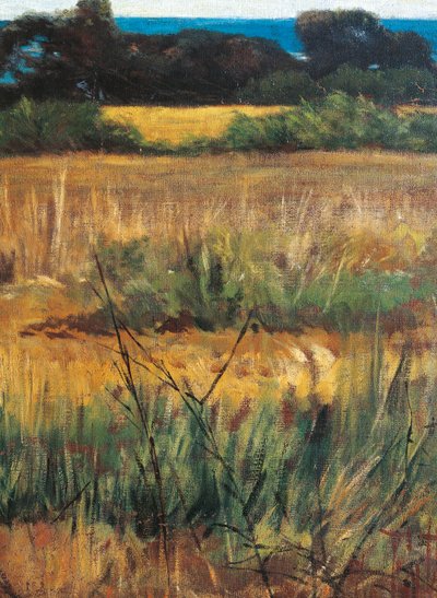 Maremma Toscana, circa 1894 (Detail) von Giovanni Fattori
