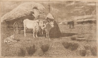 Ochsen an einen Wagen gespannt (Maremma) von Giovanni Fattori