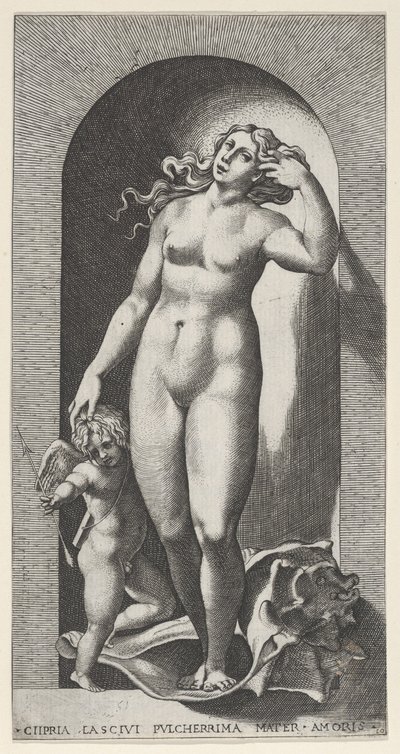 Tafel 10: Venus in einer Nische, stehend auf einer Muschelschale, mit Amor zu ihrer Rechten, aus einer Serie, 1526 von Giovanni Jacopo Caraglio