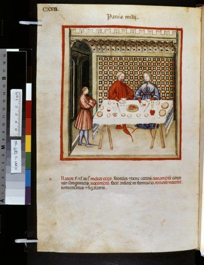 Theatrum sanitatis von Ububchasym de Baldach: 