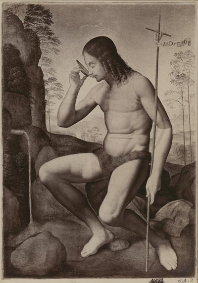 Johannes der Täufer in der Wildnis von Giuliano Bugiardini