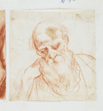 Kopf eines bärtigen Mannes, der nach unten schaut von Giuseppe Cesari