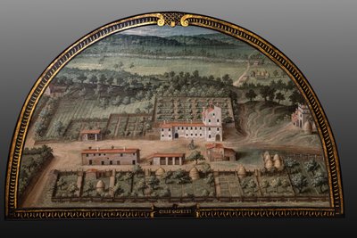 Die Medici-Villa von Collesalvetti von Giusto Utens