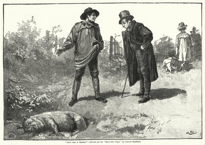 "Ist sie nicht eine Schönheit?" (Gravur) von Gordon Frederick (after) Browne
