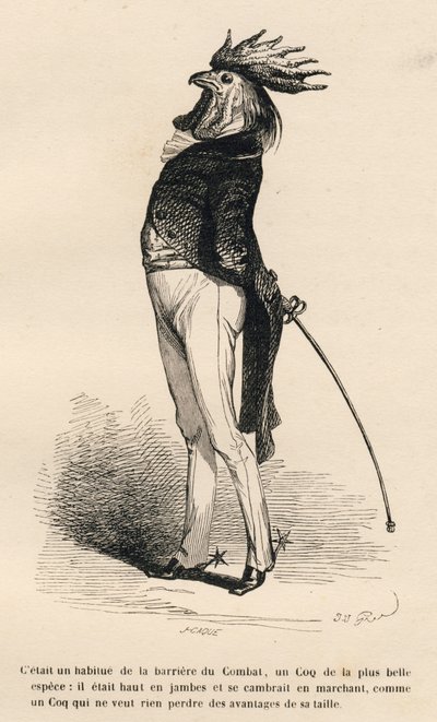 Hahn, der stolz an der Kampfschranke entlang marschiert. Vignetten illustriert von JJ Granville. Gravur signiert von Caque im Teil "Geschichte eines Hasen" geschrieben von PJ Stahl in "Szenen aus dem privaten und öffentlichen Leben der Tiere". Paris, J. He von Grandville