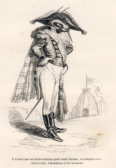 Er hatte nur seine schönen Farben als Reichtum und plante, im Luxus, Überfluss und Ehren zu leben. Vignetten illustriert von JJ Granville. Gravur signiert Andrew, Best und Leloir in dem Teil "Reise eines Spatzen aus Paris" geschrieben von Charles Nodier von Grandville