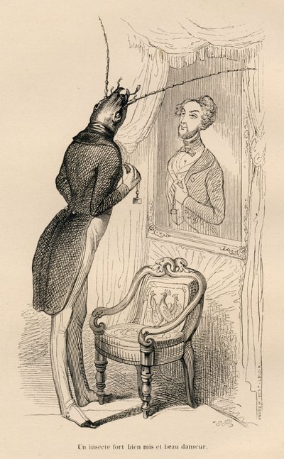 Insekt betrachtet sein menschliches Spiegelbild im Spiegel. Illustrierte Vignetten von JJ Granville. Gravur signiert Andrew, Best und Leloir im Teil "Die Abenteuer eines Schmetterlings" geschrieben von PJ Stahl in "Szenen aus dem privaten und öffentlichen  von Grandville