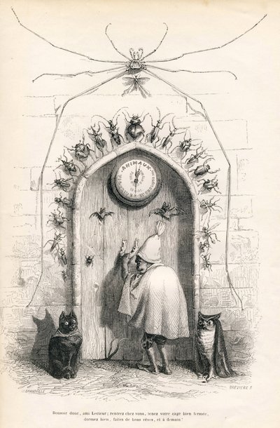 Abschied an den Leser am Ende des Werkes. Vignetten illustriert von JJ Granville. Gravur signiert Breviere "An den Leser" geschrieben von PJ Stahl in "Szenen aus dem privaten und öffentlichen Leben der Tiere". Paris, J. Hetzel und Paulin von Grandville