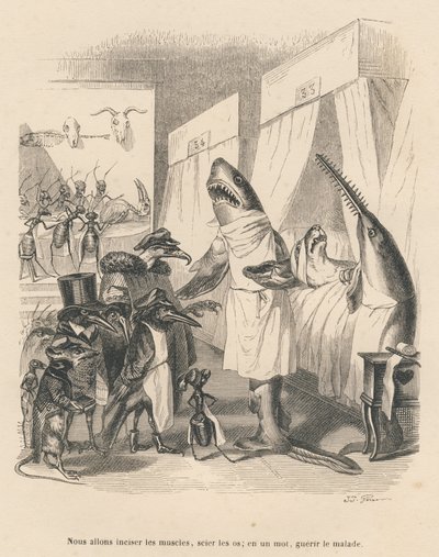 Die Hai-Ärzte erklären ihren chirurgischen Eingriff. Vignetten illustriert von JJ Granville. Gravur signiert Godard in dem Teil "Die Tierärzte" geschrieben von Pierre Bernard in "Szenen aus dem privaten und öffentlichen Leben der Tiere". Paris von Grandville