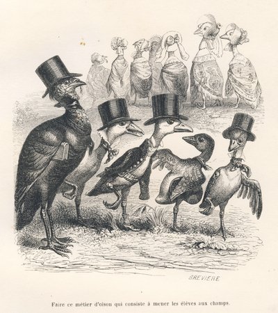 Beruf eines Gänsehirten, der die Schüler auf die Felder bringt. Die Gänse entfernen sich von ihrem Kind. Vignetten illustriert von JJ Granville. Gravur signiert von Breviere im Teil "Esel-Führer für Tiere, die zu Ehren kommen wollen" geschrieben von... von Grandville