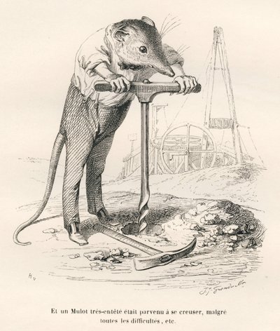 Maus durchbohrt den Boden. Vignetten illustriert von JJ Granville. Gravur signiert Breviere im Teil "Erinnerungen einer alten Krähe" geschrieben von PJ Stahl in "Szenen aus dem privaten und öffentlichen Leben der Tiere". Paris, J. Hetzel und Paulin von Grandville