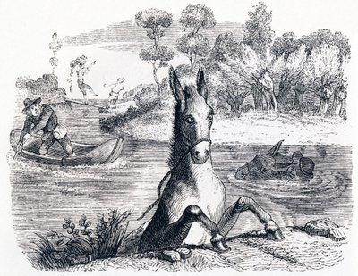 Der Esel mit dem Schwamm und der Esel mit dem Salz - Fabeln von La Fontaine von Grandville