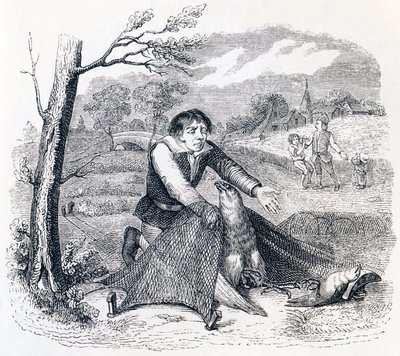 Der Vogelfänger, der Habicht und die Lerche - Fabeln von La Fontaine von Grandville