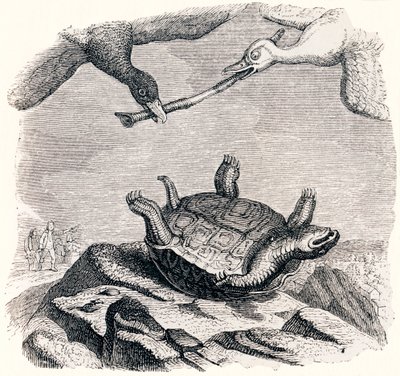 Die Schildkröte und die zwei Enten - Fabeln von La Fontaine von Grandville