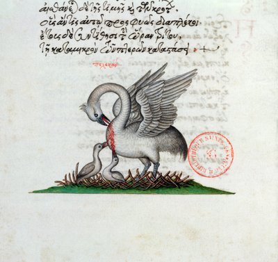 Ms 3401 Ein Pelikan, der seine Brust durchbohrt, um seine Jungen zu füttern, aus einem Bestiarium von Manuel Philes, 1566 von Greek School
