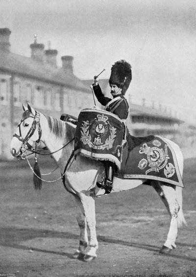 Plum Duff, das Trommelpferd der Royal Scots Greys, 1896 von Gregory and Co