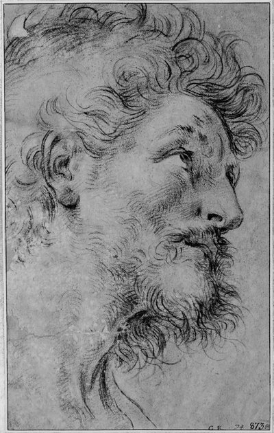 Kopf des heiligen Crispinus von Guido Reni