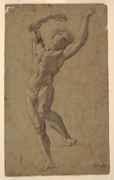 Studie für St. Sebastian, Museo Pomarici Santomasi, Apulien, Italien von Guido Reni