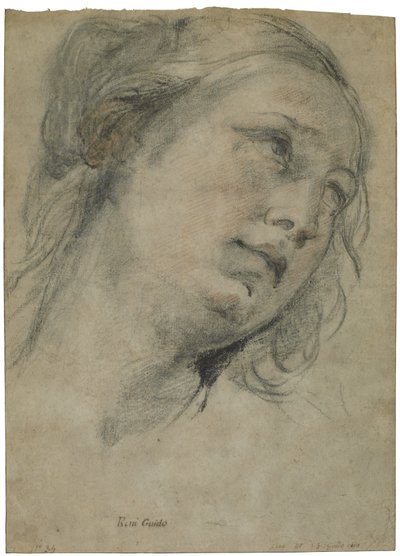 Der Kopf einer jungen Frau, die nach oben schaut, ca. 1609 von Guido Reni