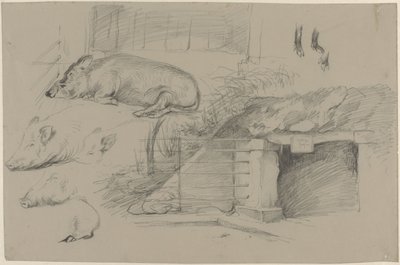 Skizzenblatt mit Studien von Schweinen im Wildschweinpark in Artis von Guillaume Anne van der Brugghen