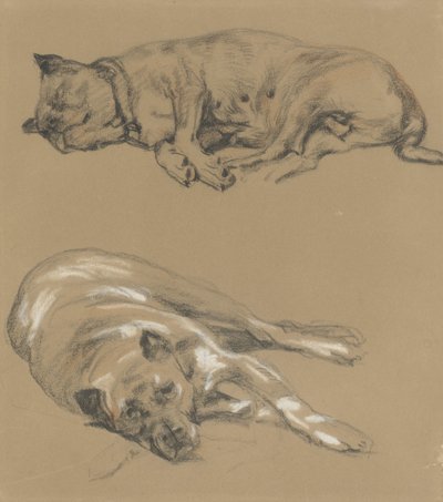 Zwei Studien eines liegenden Hundes von Guillaume Anne van der Brugghen